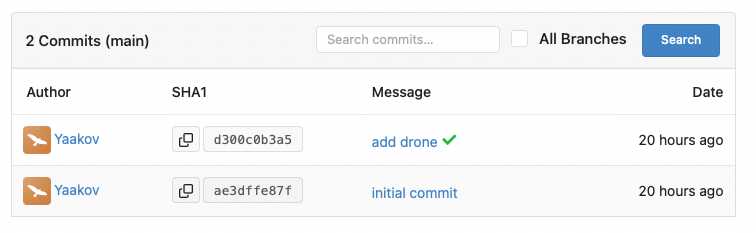 Commit history for a repo showing two commits, the older one has the message "initial commit" and the newer one has both the message "add drone" and a green checkmark.