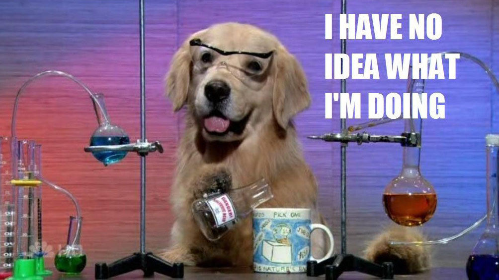 The "I have no idea what I'm doing meme" of a dog in some kind of science laboratory.