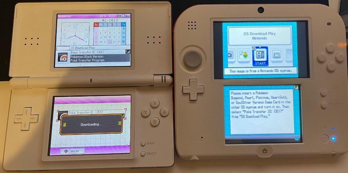 nintendo ds lite ds download play