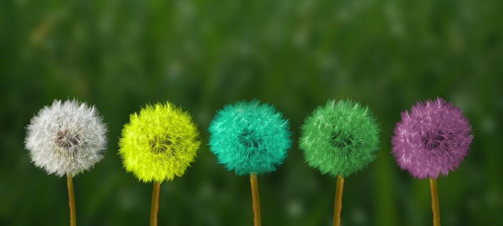 Setting a Default InputFormatter in ASP.NET Core
